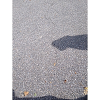 Training image